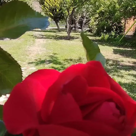 Flora Cirali בית אירוח