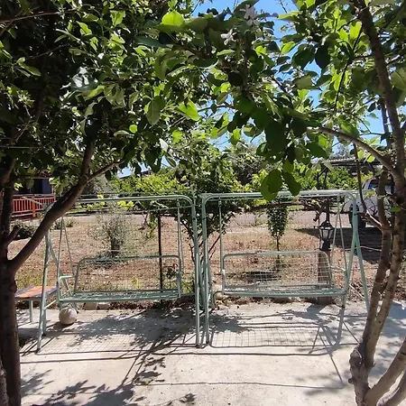 בית אירוח Flora Cirali קמר